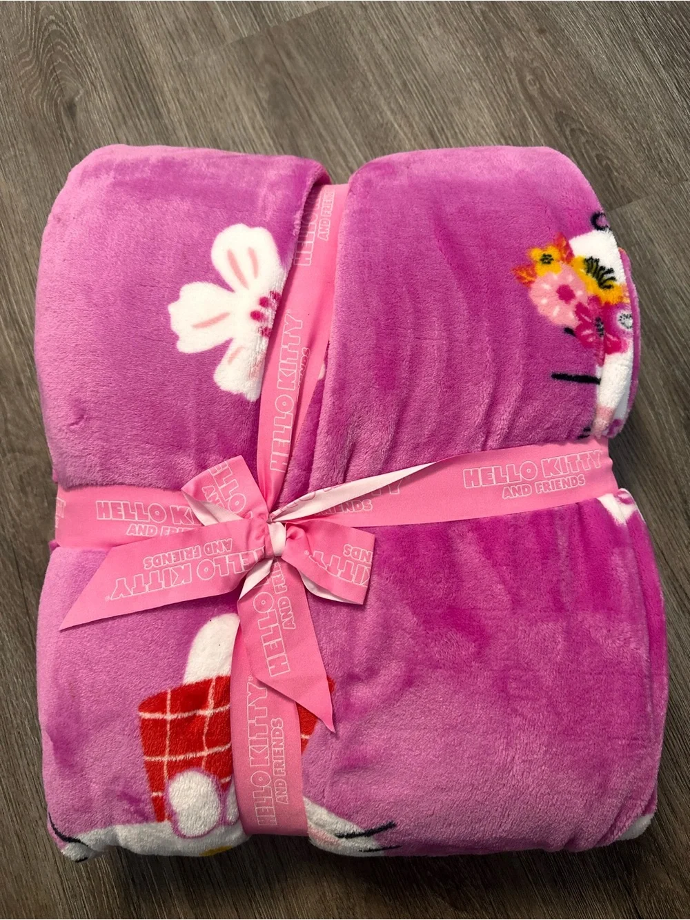 Hello Kitty Pink Character Plush Blanket – Bright Pink & White